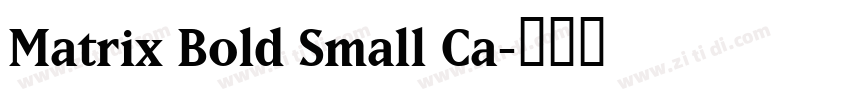 Matrix Bold Small Ca字体转换